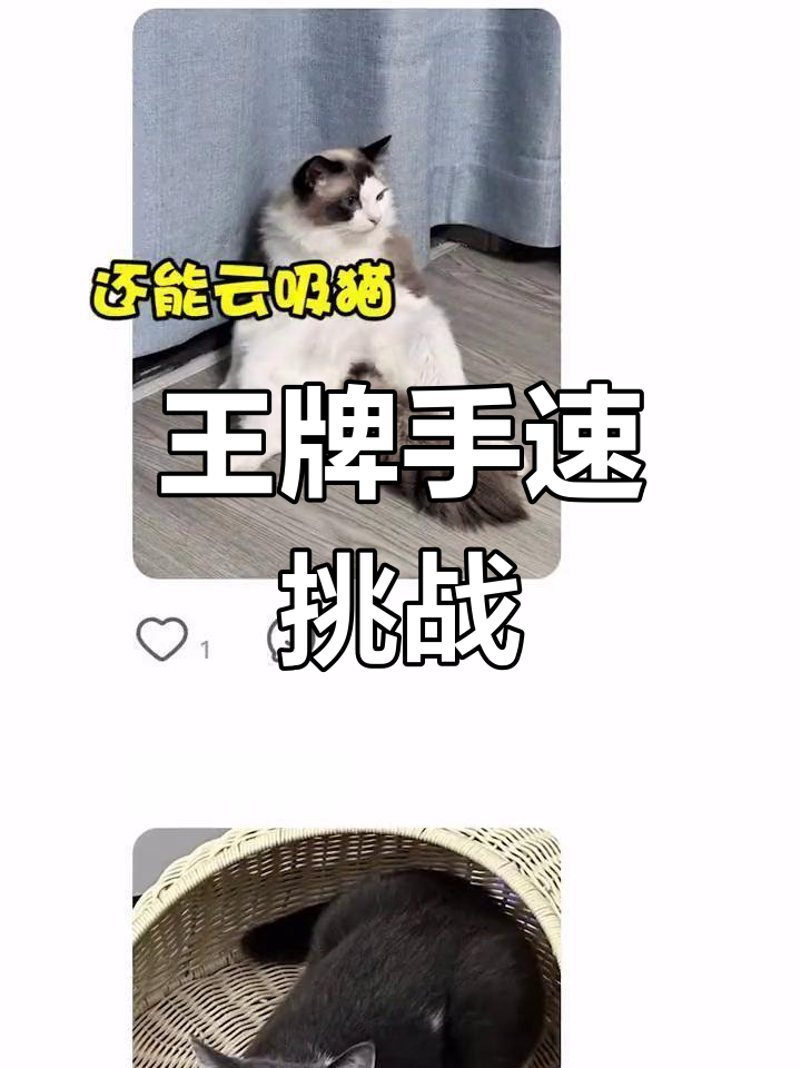 这双手带队吃鸡,王牌轻松拿下!