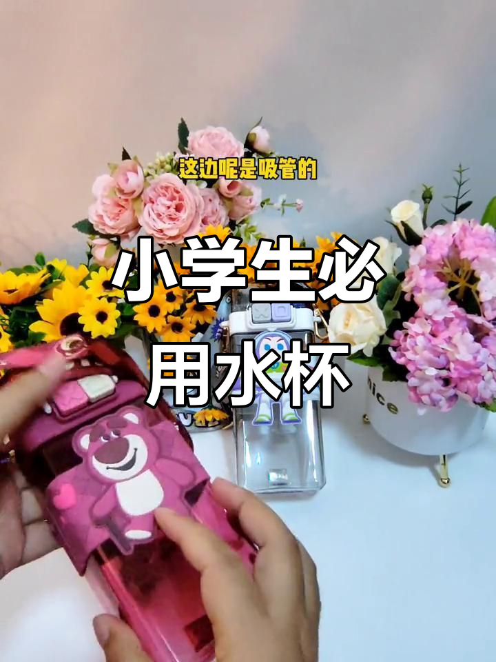 迪士尼草莓熊水杯,安全又好看!小学生必备学习用品