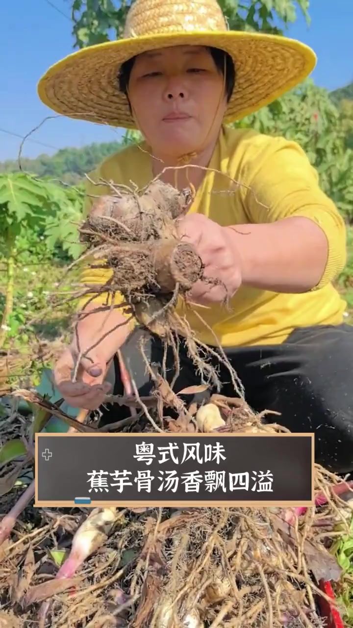 粤式风味,蕉芋骨汤香飘四溢
