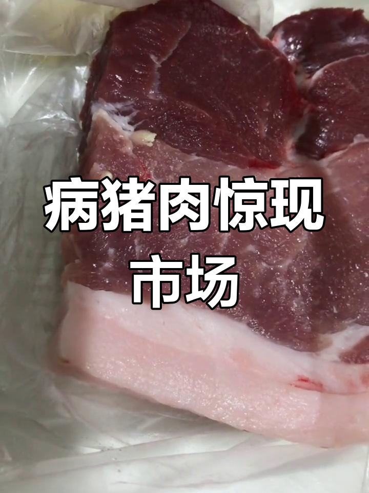 菜场买的猪肉竟有囊肿,挤出来白乎乎的,真是吓人!