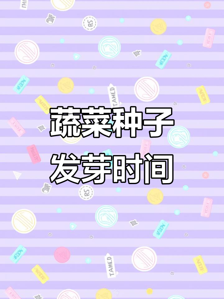 蔬菜种子种下后多久能发芽?这些小技巧你必须知道