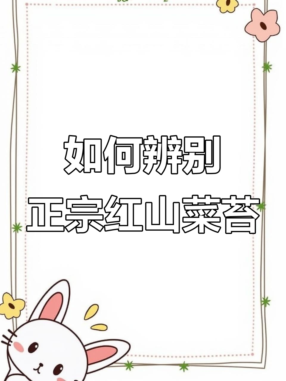 正宗洪山菜苔的秘密：如何挑选正宗品种，口感更甜