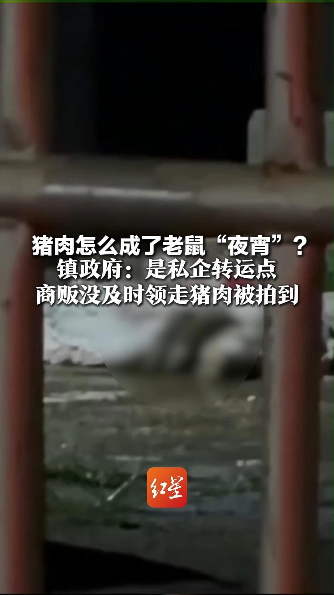 猪肉怎么成了老鼠“夜宵”?镇政府:是私企转运点 商贩没及时领走猪肉被拍到 市监部门已销毁涉
