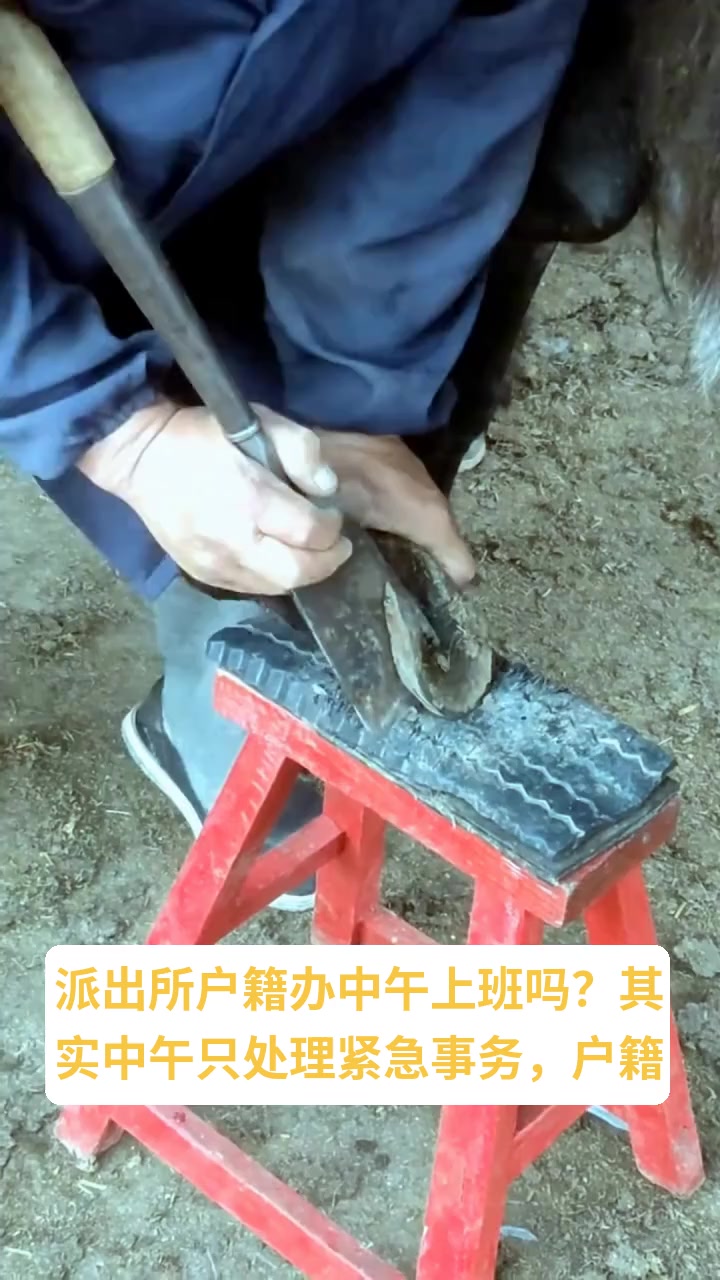 户籍办中午开门吗?速看!