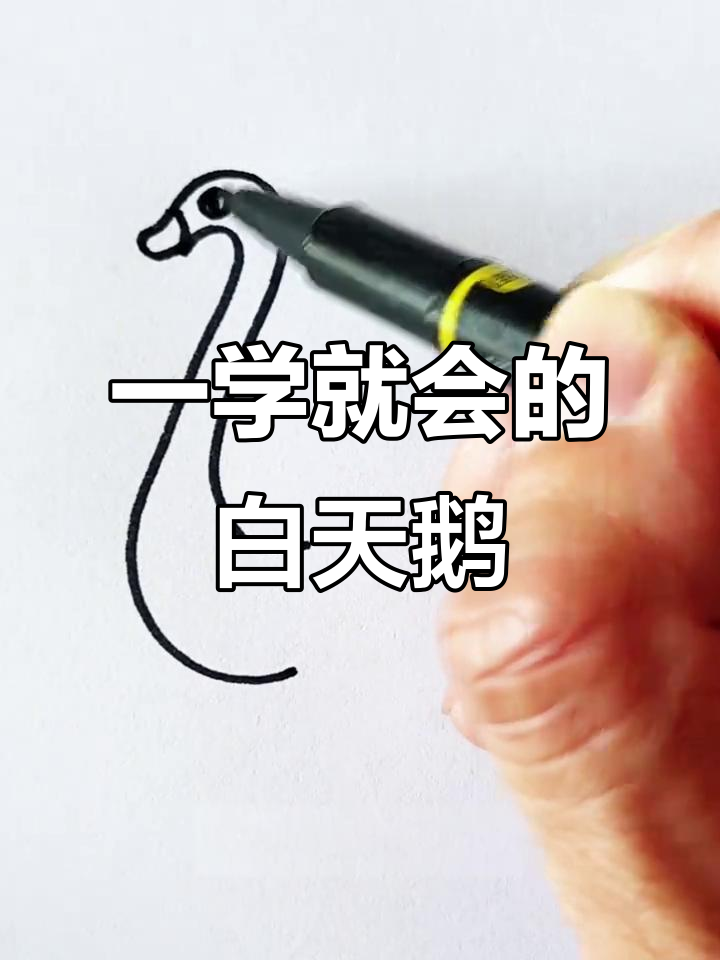 轻松学会白天鹅简笔画，步骤简单又有趣