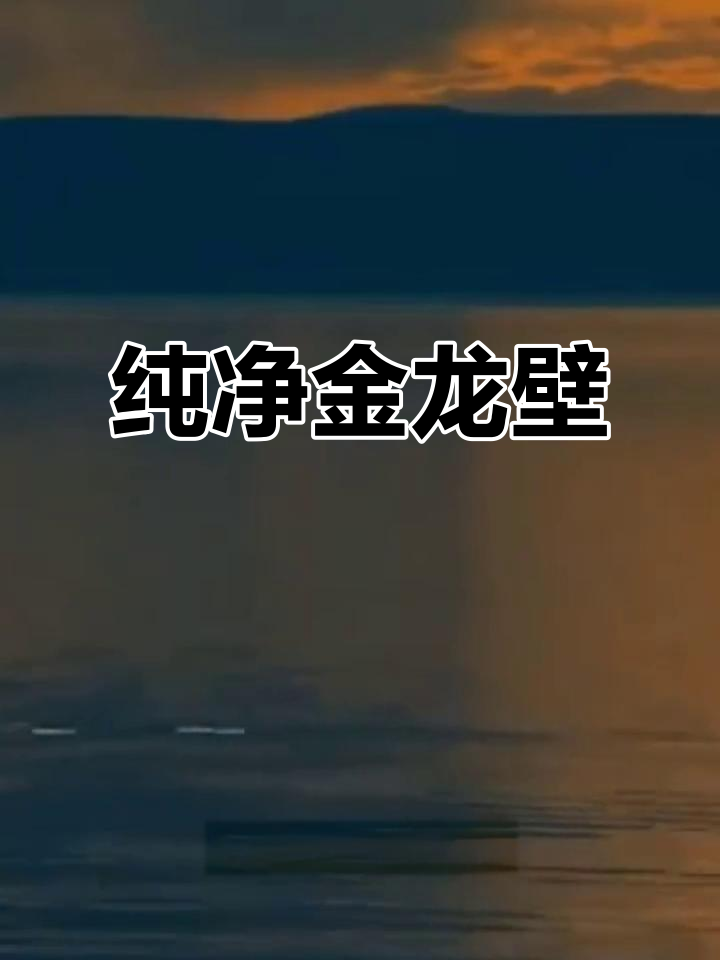 金龙鱼背景墙,纯净中蕴含无尽力量