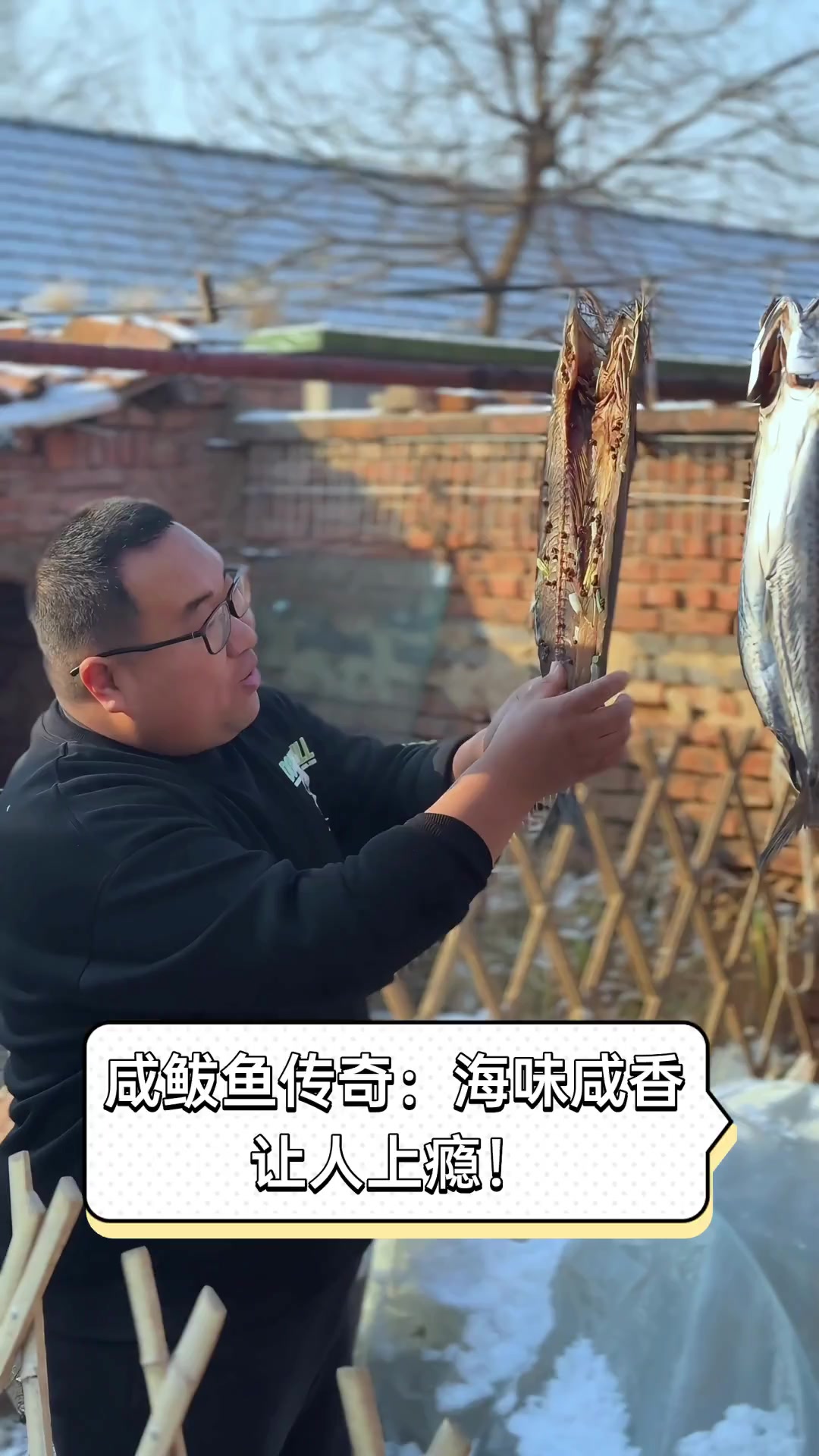咸鲅鱼传奇:海味咸香,让人上瘾!