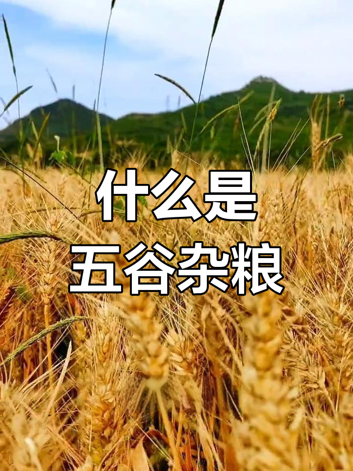 五谷杂粮的种类与分类