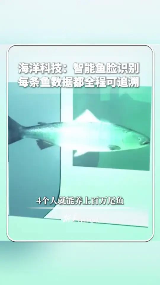 世界海洋里,看看亚洲最大深远海养殖渔场的“鱼脸识别”技术:通过双目摄像机水下生物识别系统,