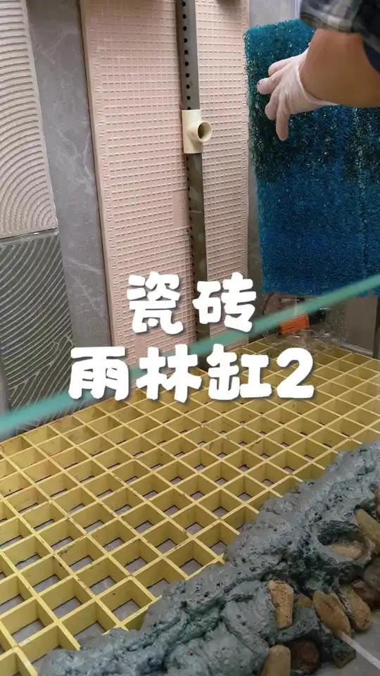 水陆缸改成雨林缸，大家帮我看一下我这样操作对不对？需要多注意些什么？#瓷砖鱼缸 #水陆缸造