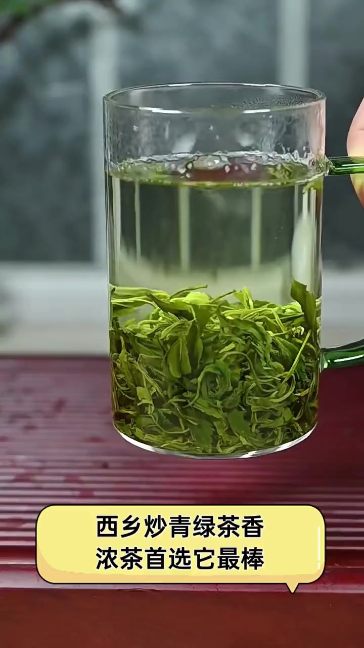西乡炒青绿茶香,浓茶首选它最棒