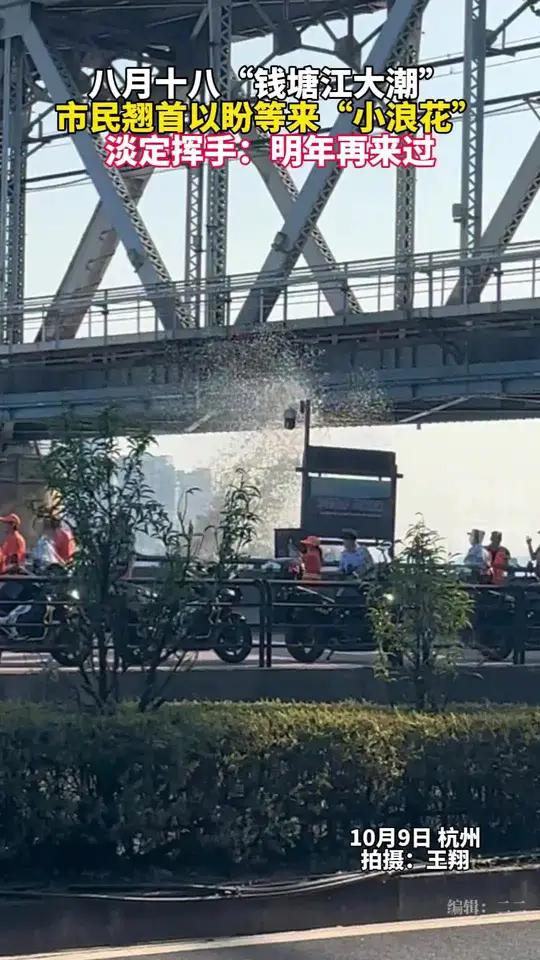你今天看到钱塘江大潮了吗?市民对着“小浪花”淡定挥手:“明年再来”