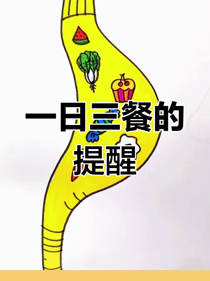 肚子里的“闹钟”与一日三餐