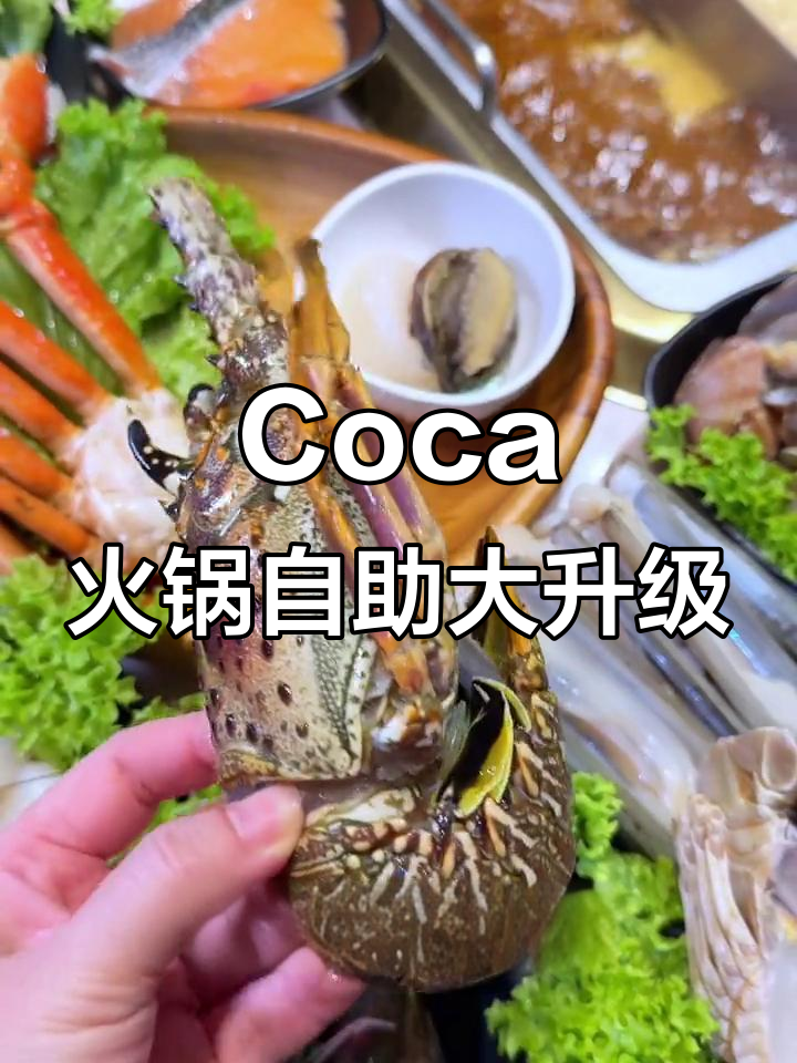 新加坡Coca火锅自助新惊喜:海鲜拼盘+龙虾,超值福利来袭