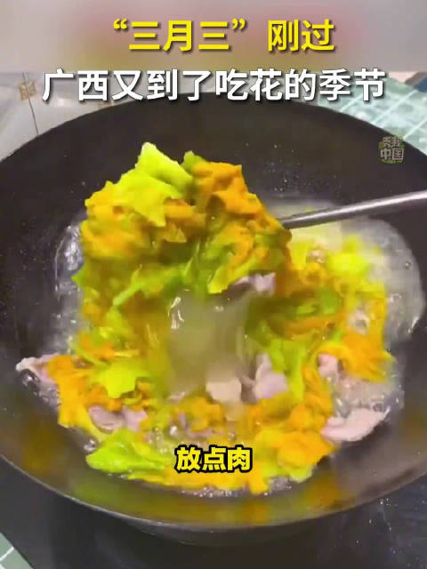「秀我中国|广西的餐桌被南瓜花包围了」你们那儿春天都吃些什么 又到了广西人“吃花”的季节,