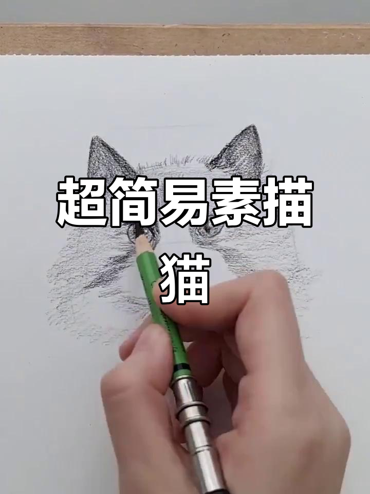 零基础素描猫咪,轻松掌握超简单画法