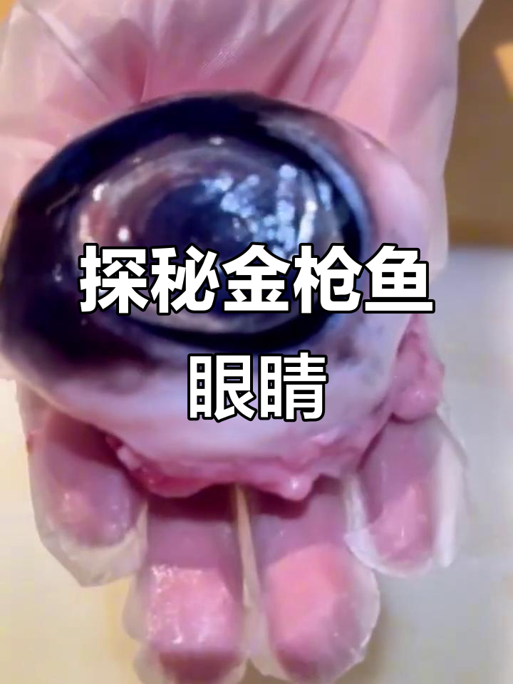 金枪鱼眼睛的秘密,竟然这么有趣!