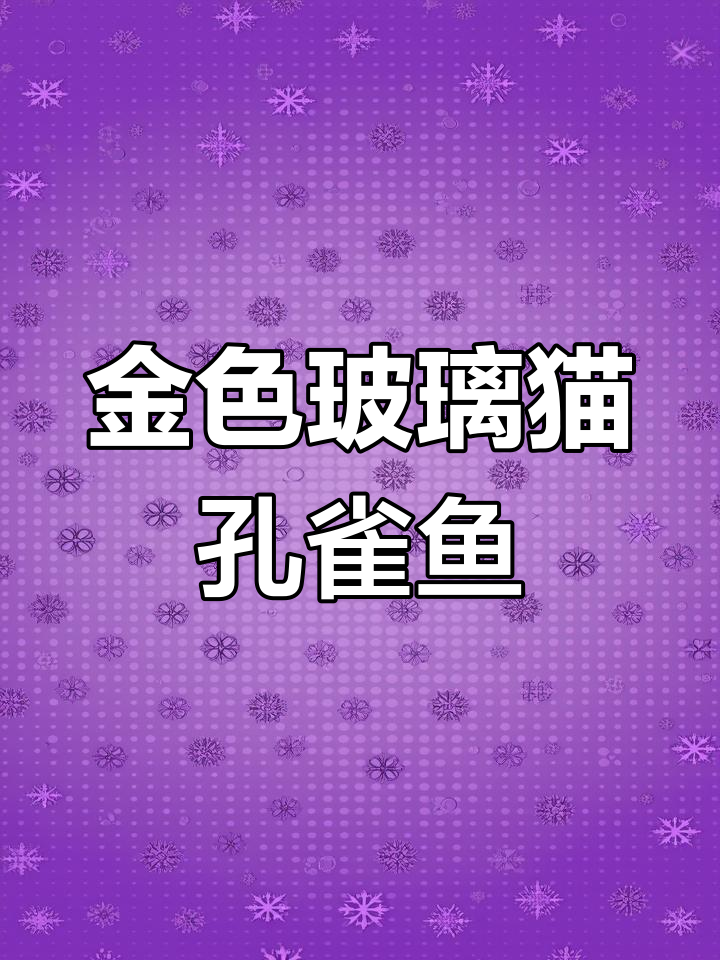 黄金玻璃猫孔雀鱼:透明身体与美丽金黄色公鱼的完美结合