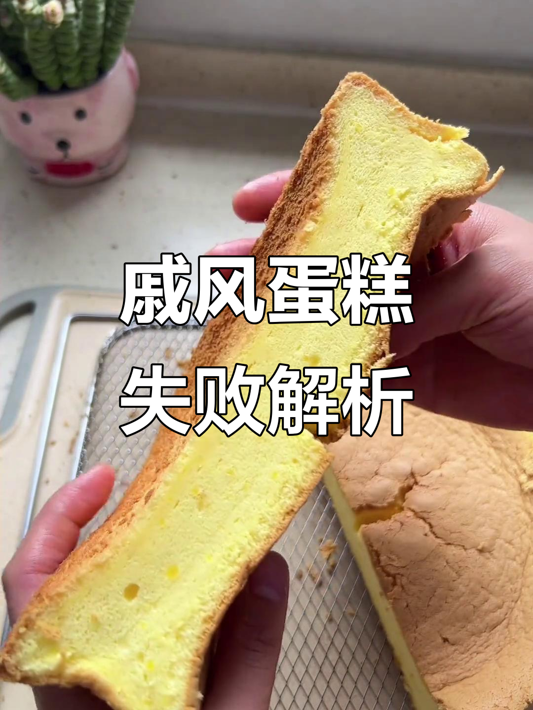 反复尝试,戚风蛋糕依旧失败?检查这些细节!