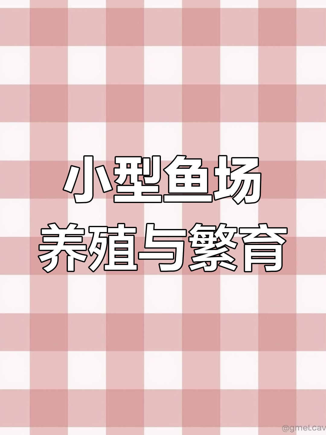 从小鱼卵到观赏鱼的成长过程,揭秘养殖场的繁殖技巧
