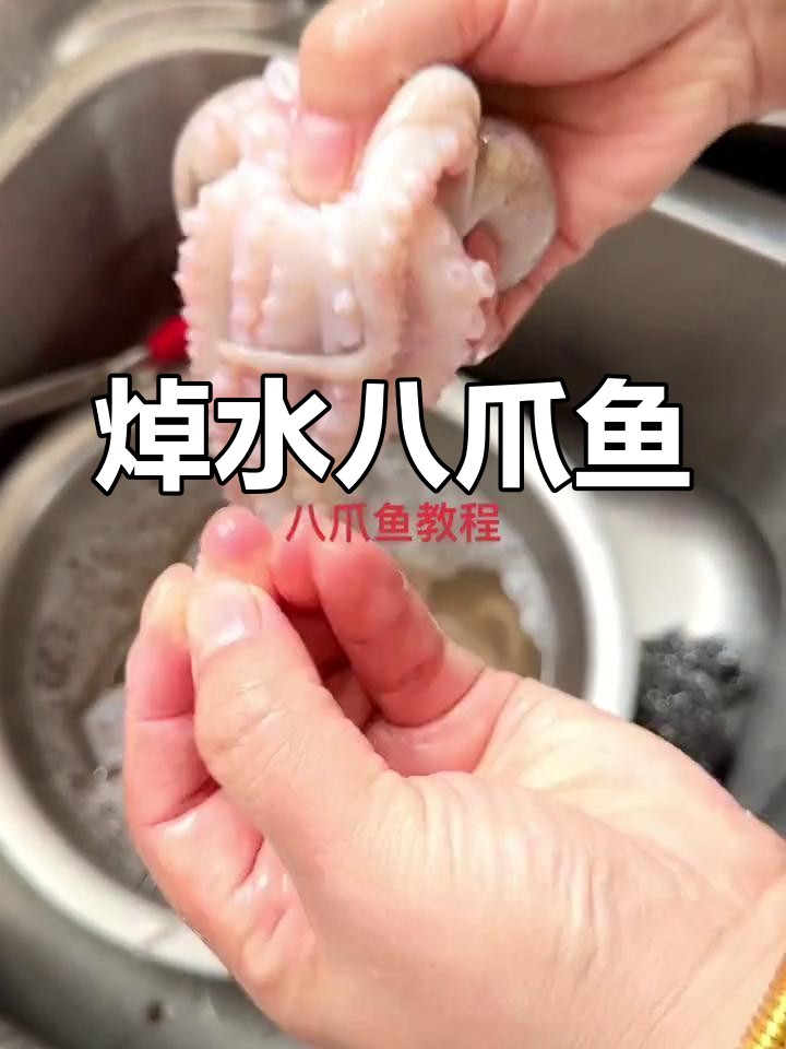 野生八爪鱼清洗与烹饪技巧