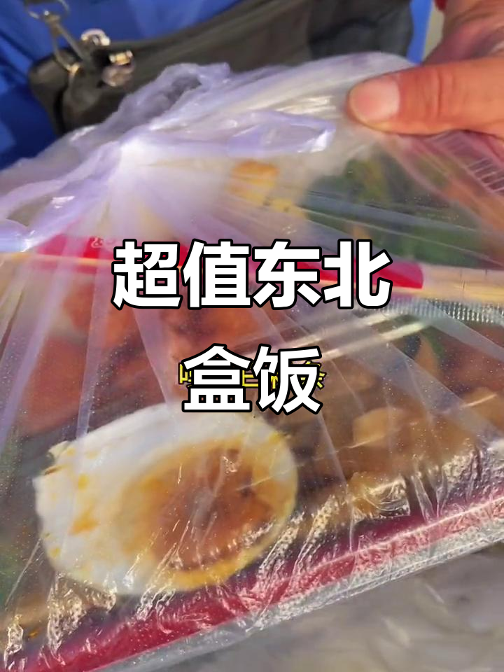 10元东北盒饭,烧茄子、红烧肉统统有!