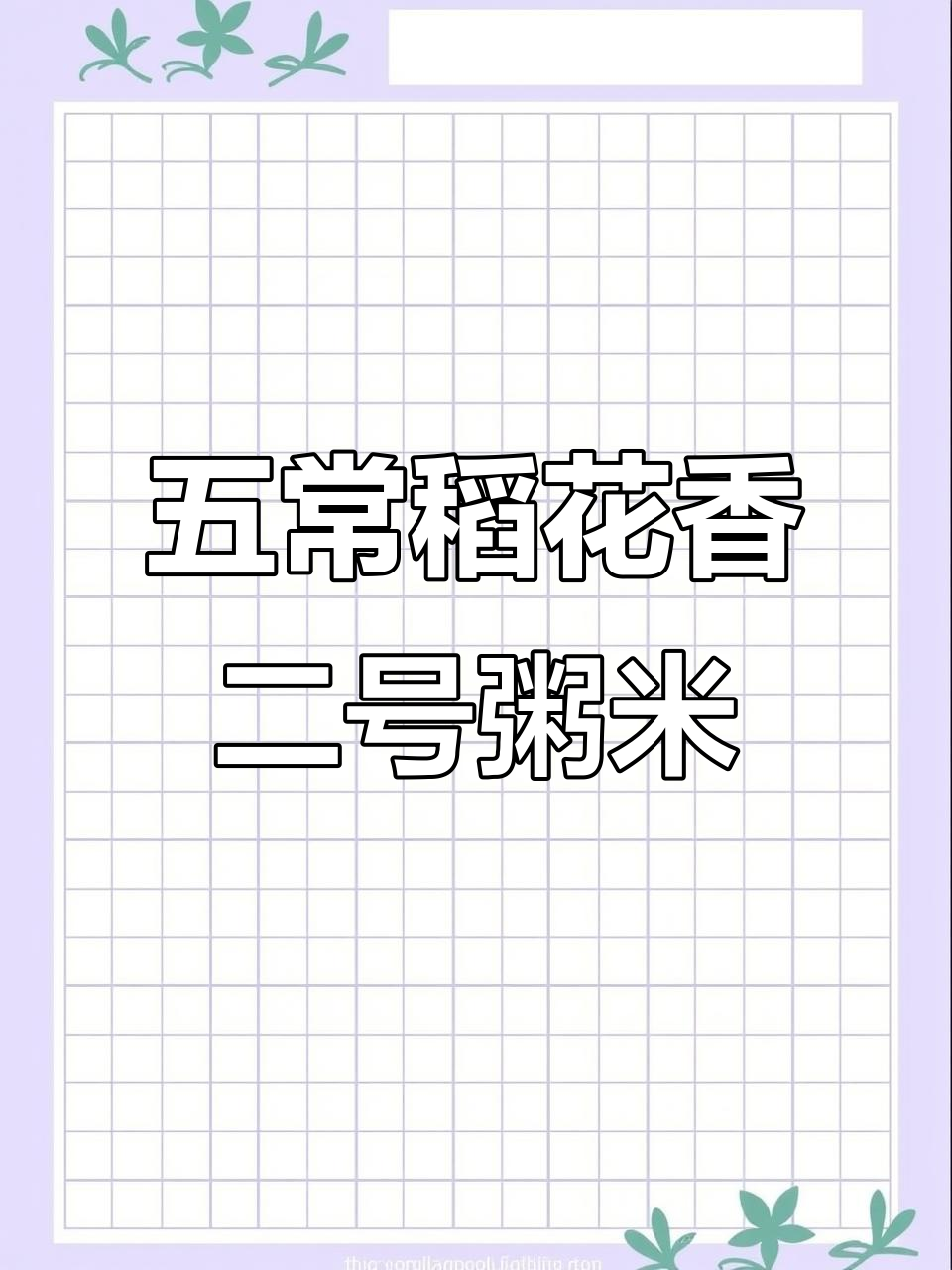 五常稻花香二号粥米,软糯香甜,做粥更美味