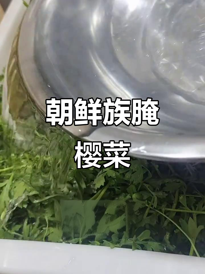 朝鲜族传统小菜:樱菜的独特腌制方法