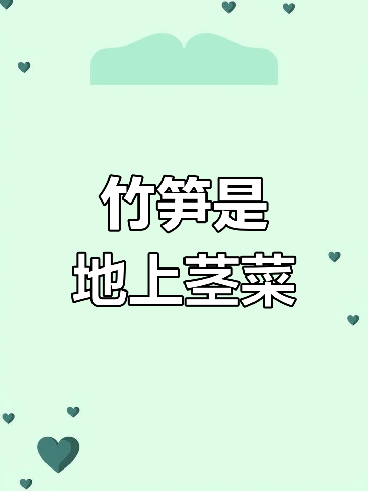 竹笋属于哪一类蔬菜?