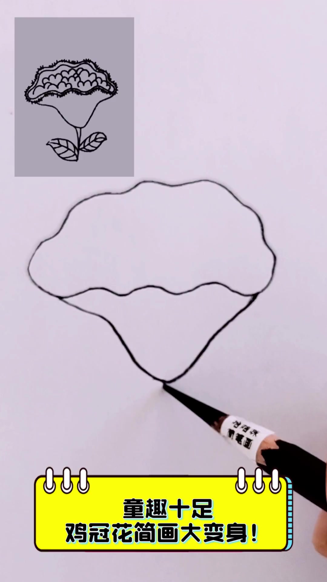 童趣十足,鸡冠花简画大变身!