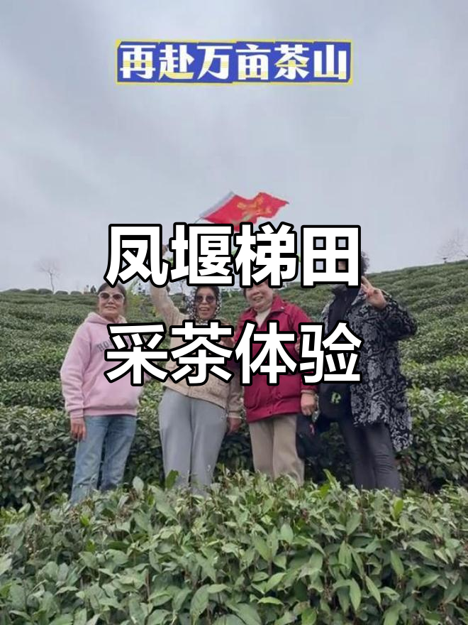 3月探秘陕南凤堰古梯田,畅游油菜花海与茶园