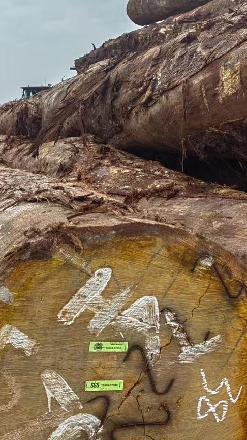 非洲鸡翅木原木板材开料小鸡翅木