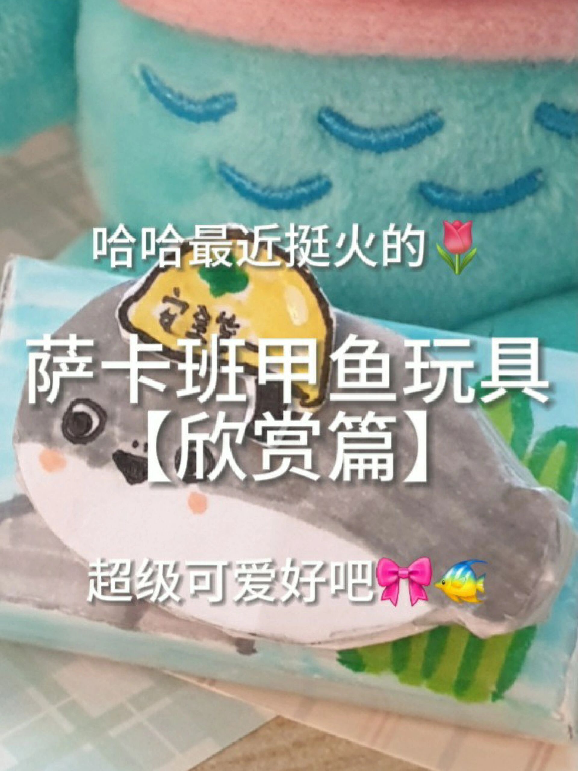 自制萨卡班甲鱼滑动玩具(有教程)