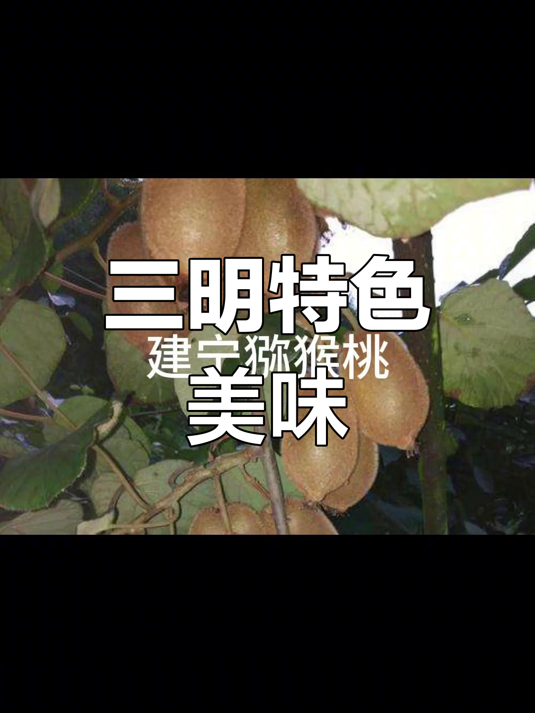 三明特产大揭秘,宝藏美食等你来发现