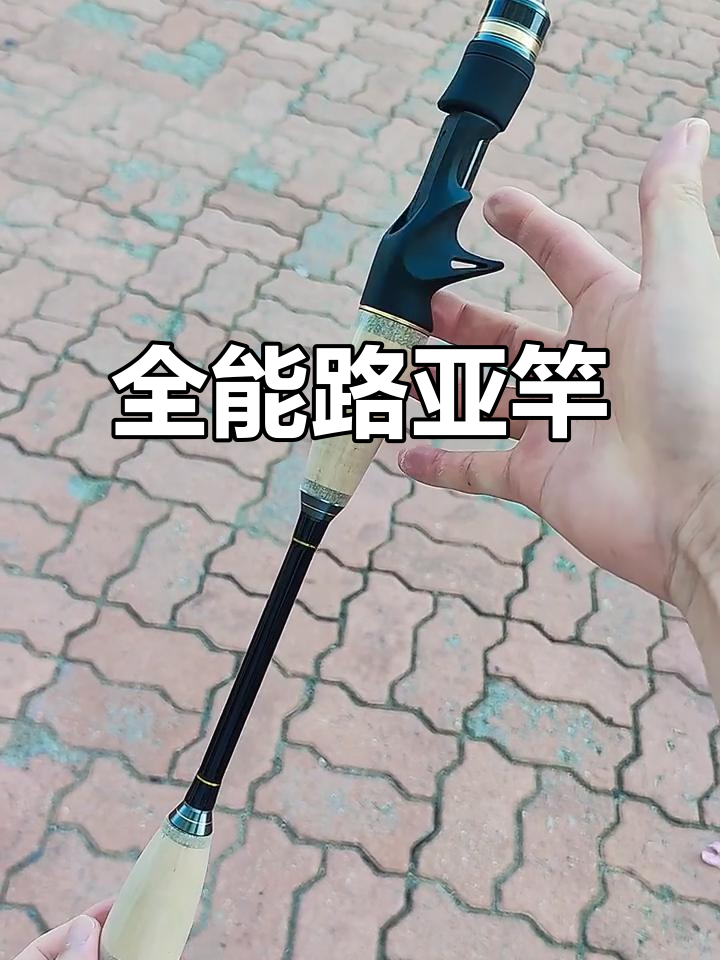 这款路亚竿,轻松应对大小鱼,从微物到巨物的全能选择
