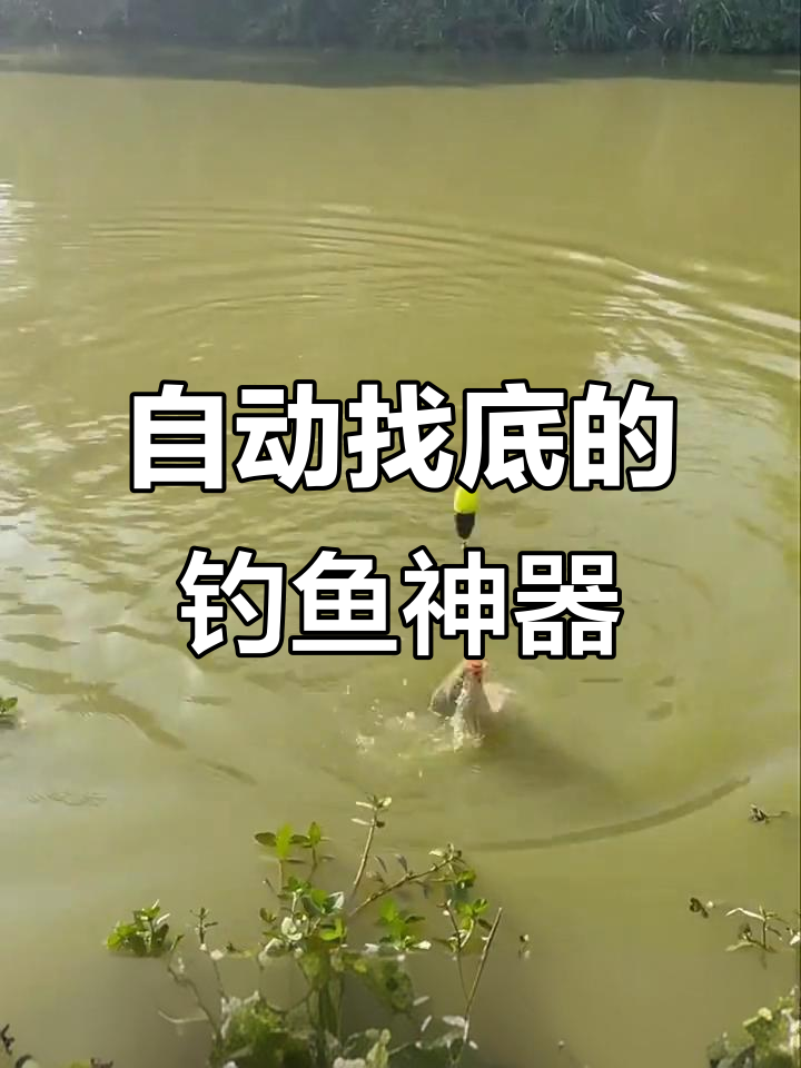 震波漂全自动找底，免调漂钓鱼神器，夜光高灵敏鱼漂