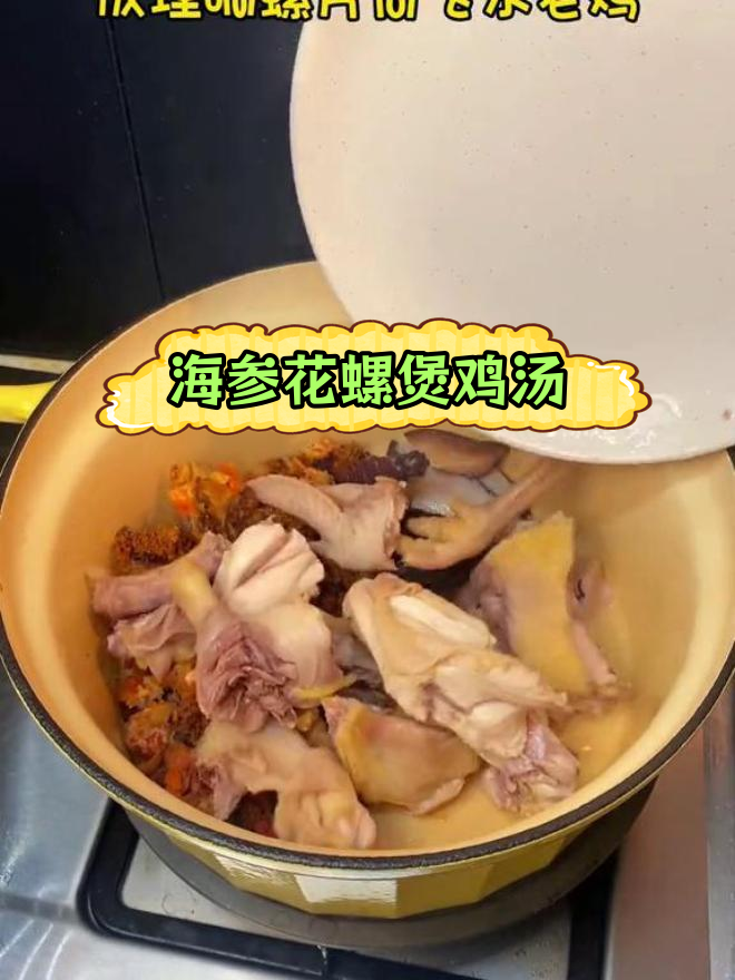 秋季滋补海参花螺鸡汤,润燥养颜