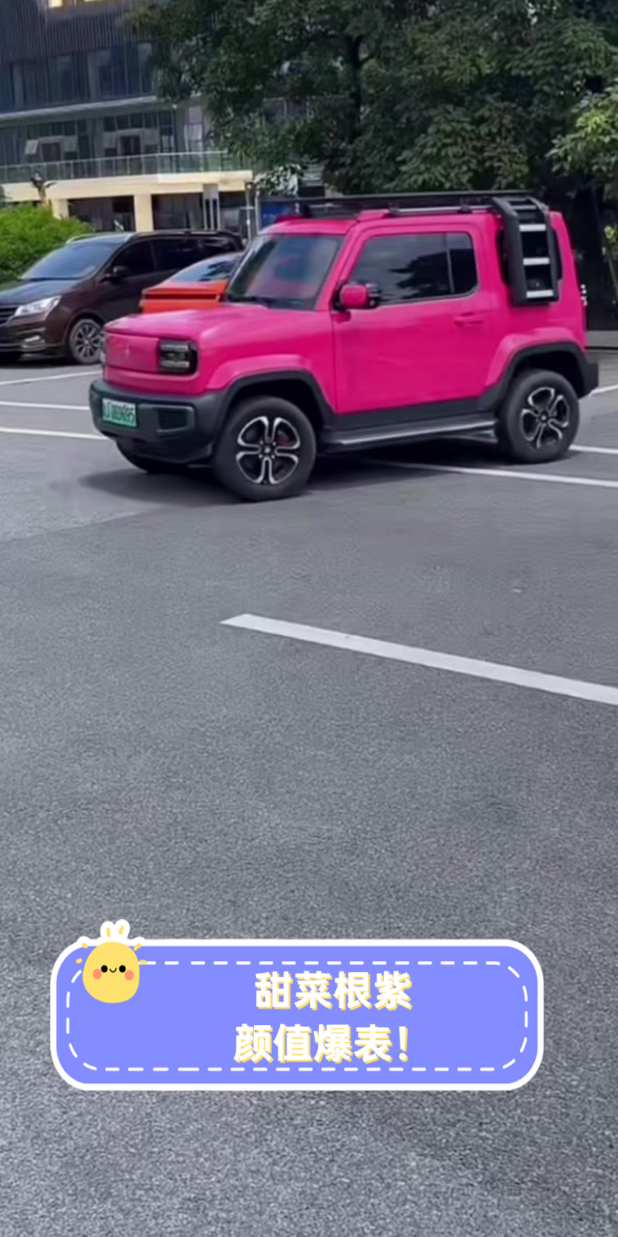 甜菜根紫颜值爆表！