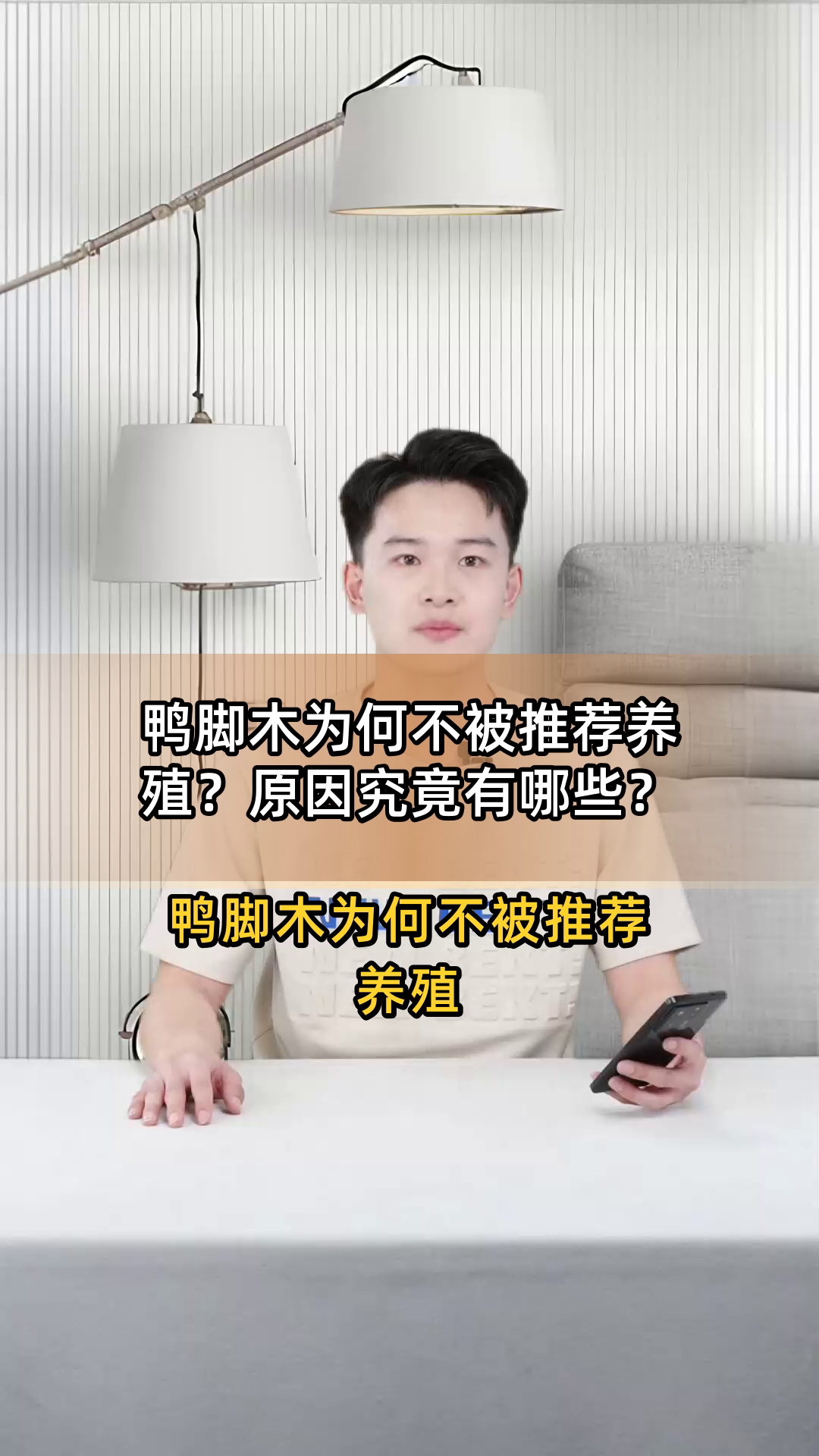 鸭脚木为何不被推荐养殖?原因究竟有哪些?