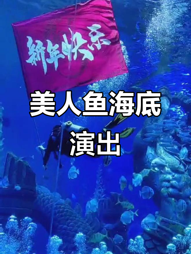海底美人鱼表演,真实震撼现场实拍