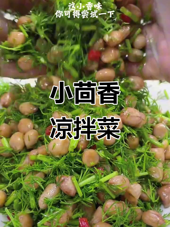 茴香凉拌新做法,简单又美味!