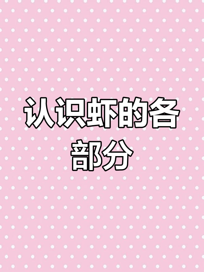 了解虾的健康与部位名称