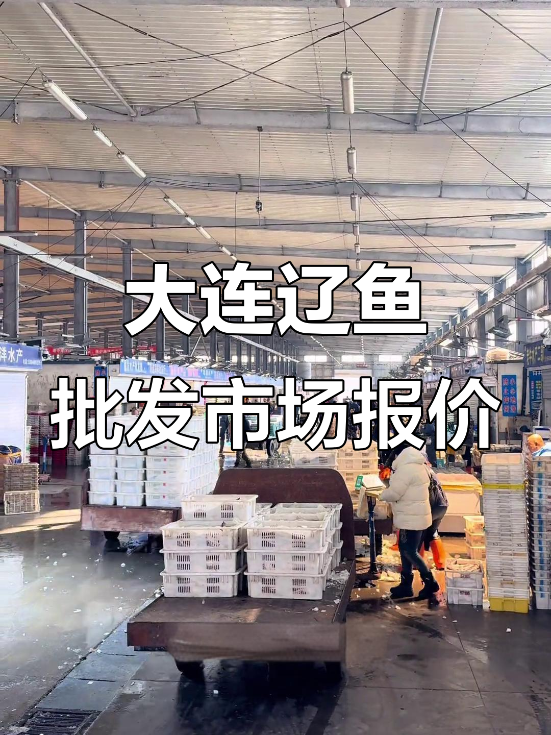 大连辽鱼市场行情大揭秘，海兔、黑鱼等价格波动一览