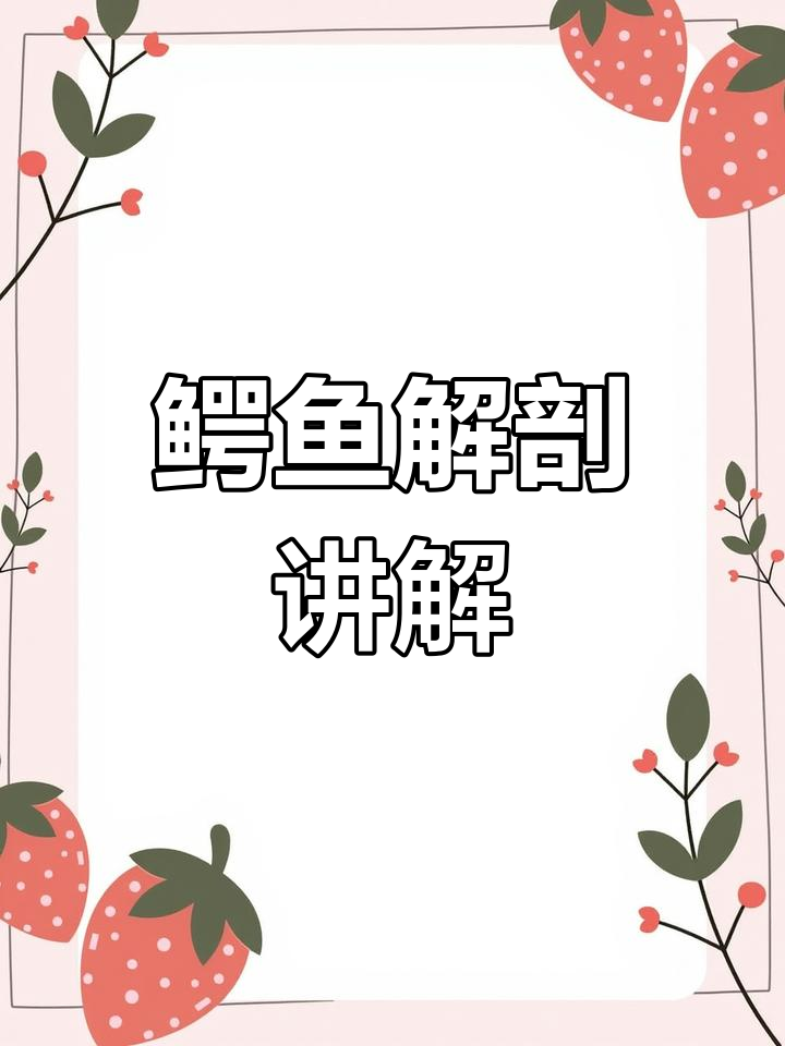 鳄鱼解剖揭秘:从肺到皮制品