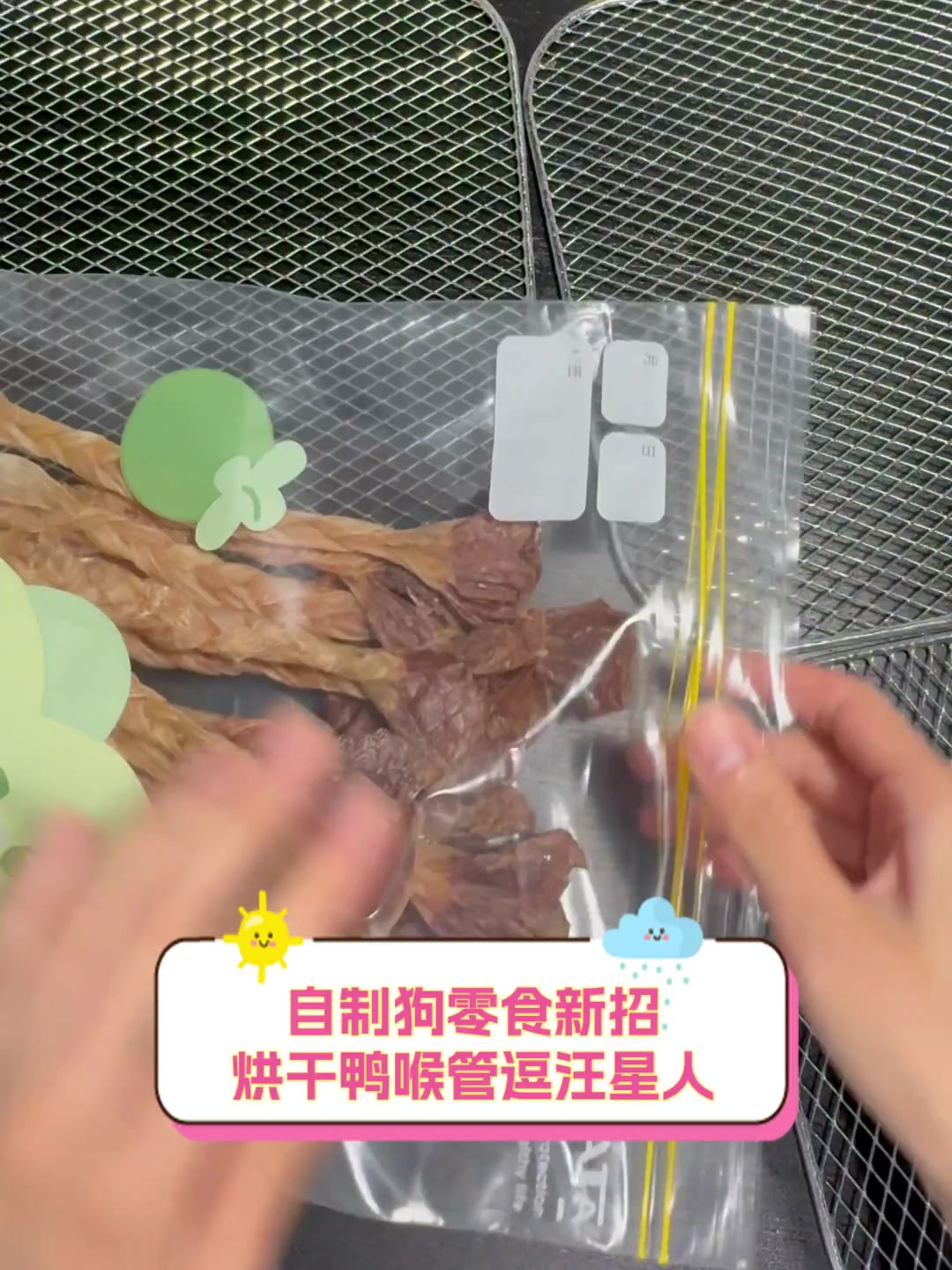 自制狗零食新招,烘干鸭喉管逗汪星人