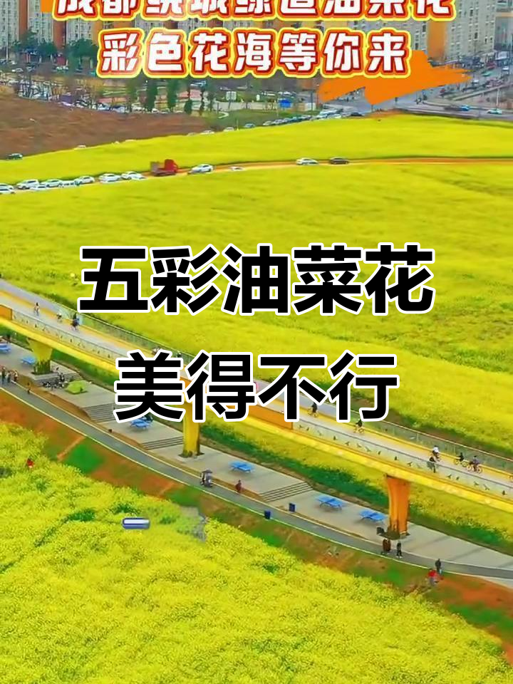 成都绕城绿道油菜花海，五彩斑斓如童话世界