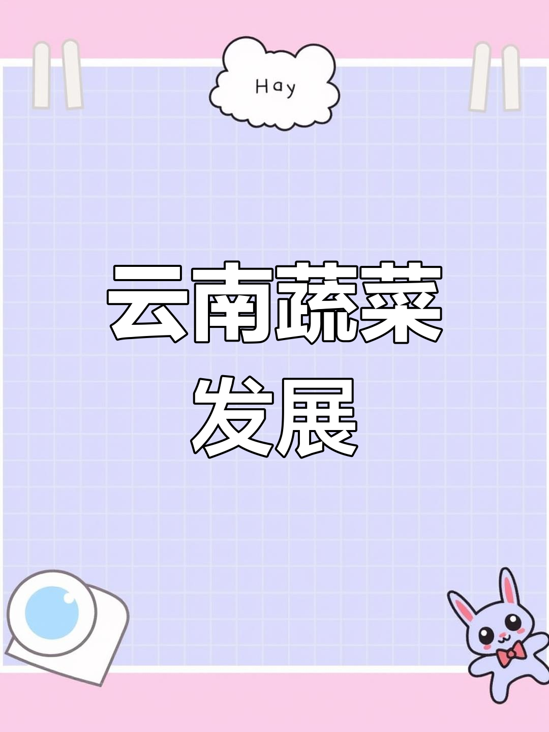 云南蔬菜产业,机遇与挑战并存,需持续创新才能突破