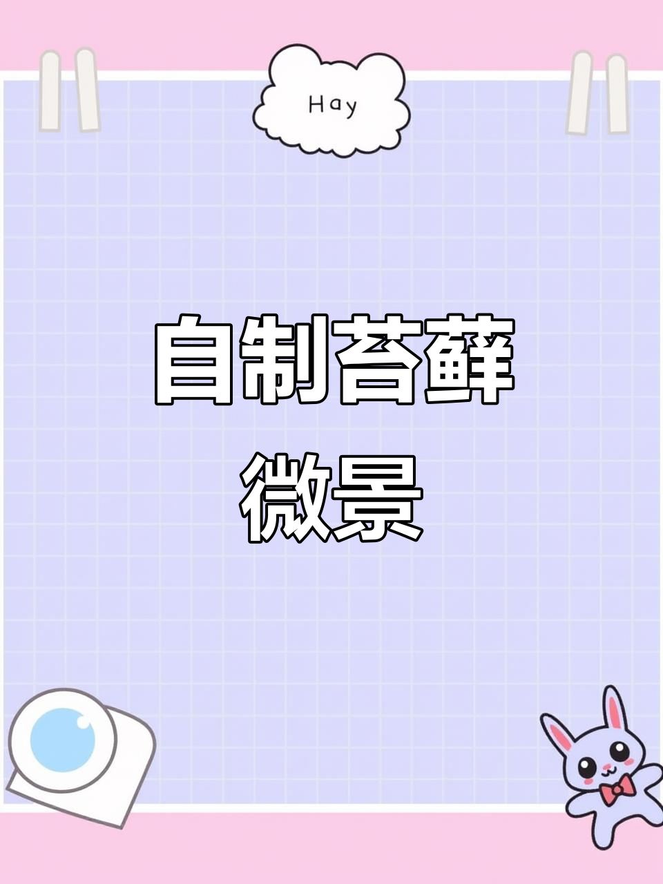 圆形玻璃缸DIY苔藓微景观,打造自然生态小空间