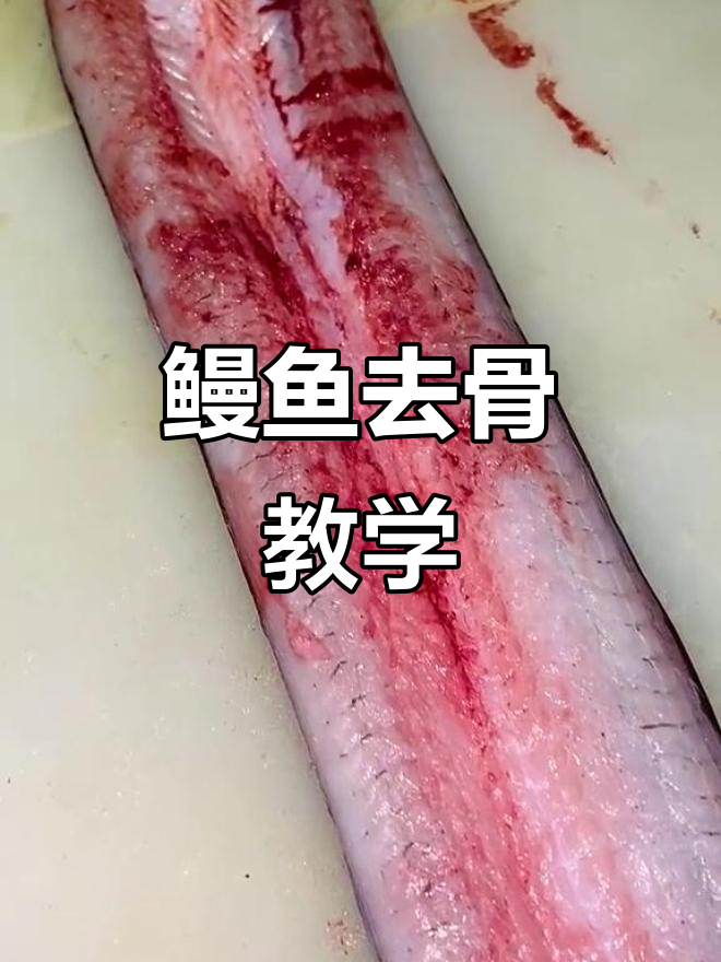 完整步骤教你轻松去骨,鳗鱼处理技巧大揭秘