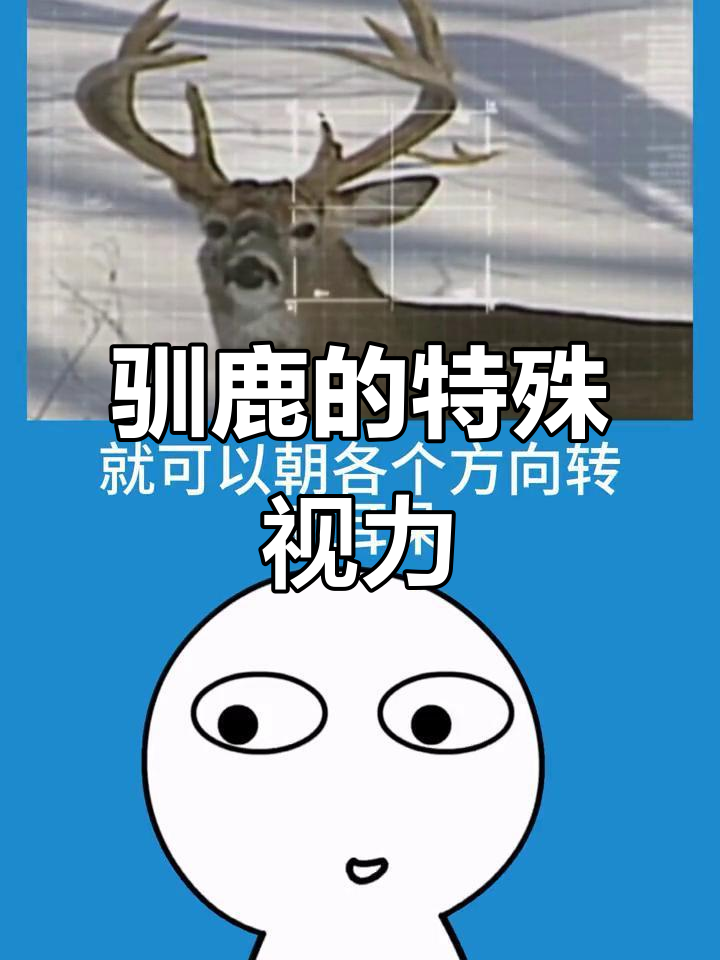驯鹿能看见紫外线,逃生技能满分
